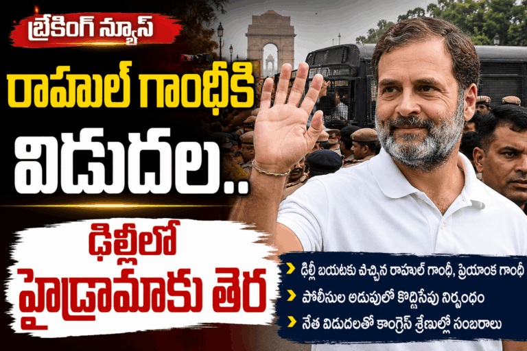 Rahul gandhi released after delhi protest