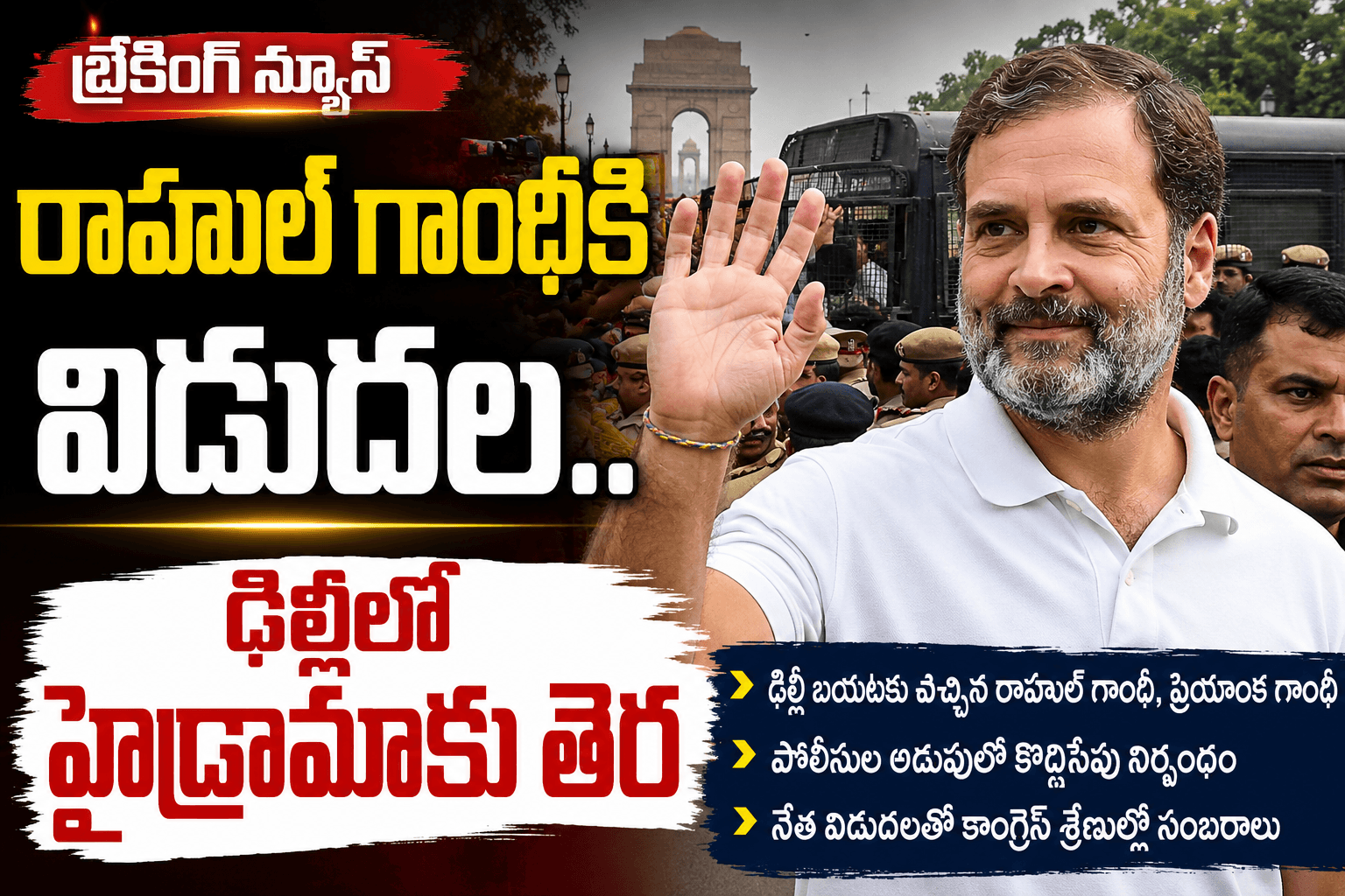 Rahul gandhi released after delhi protest