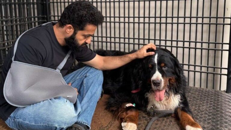 Jr NTR pet bagheera