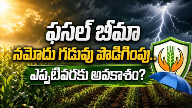 pm-fasal-bima-yojana-deadline-extended-andhra-pradesh-farmers
