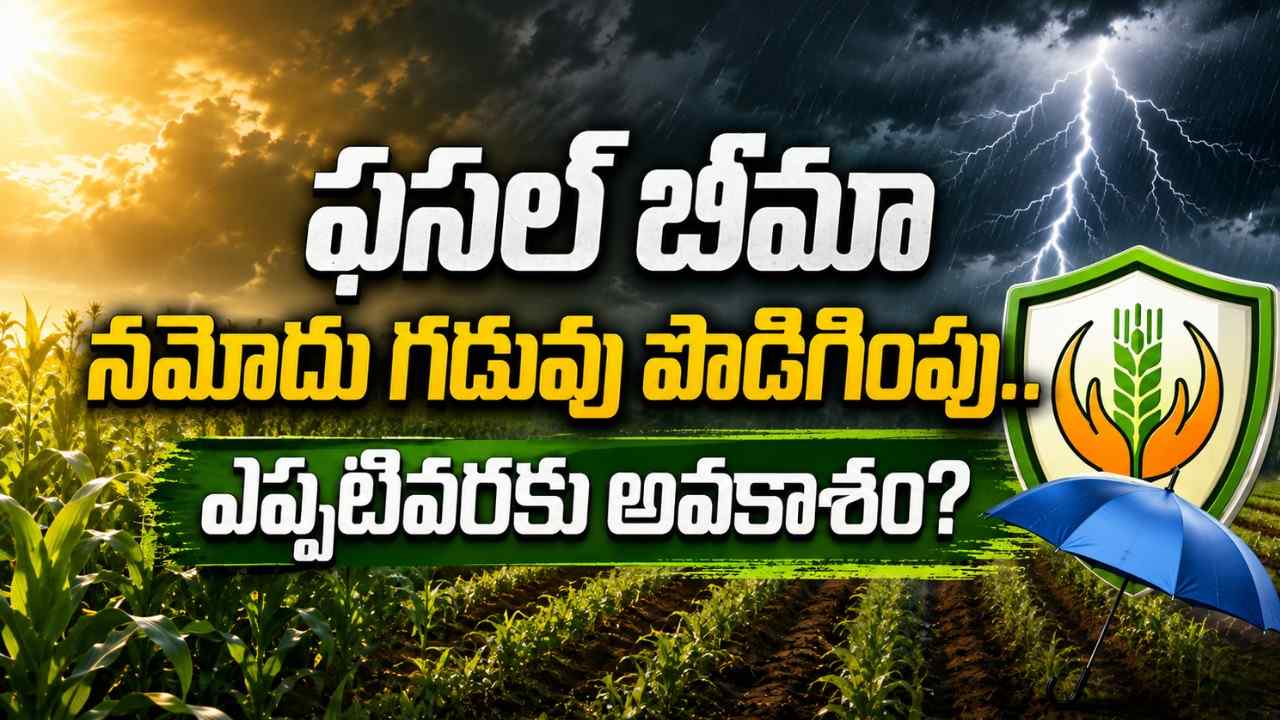 pm-fasal-bima-yojana-deadline-extended-andhra-pradesh-farmers