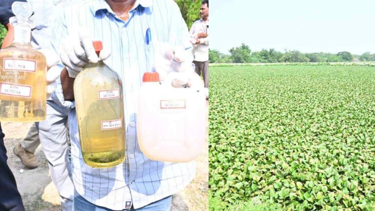 Pawan Kalyan Andhra Paper Godavari Pollution
