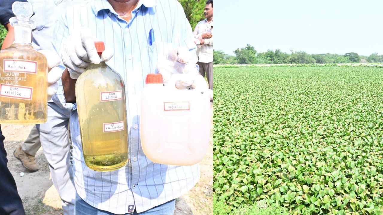 Pawan Kalyan Andhra Paper Godavari Pollution
