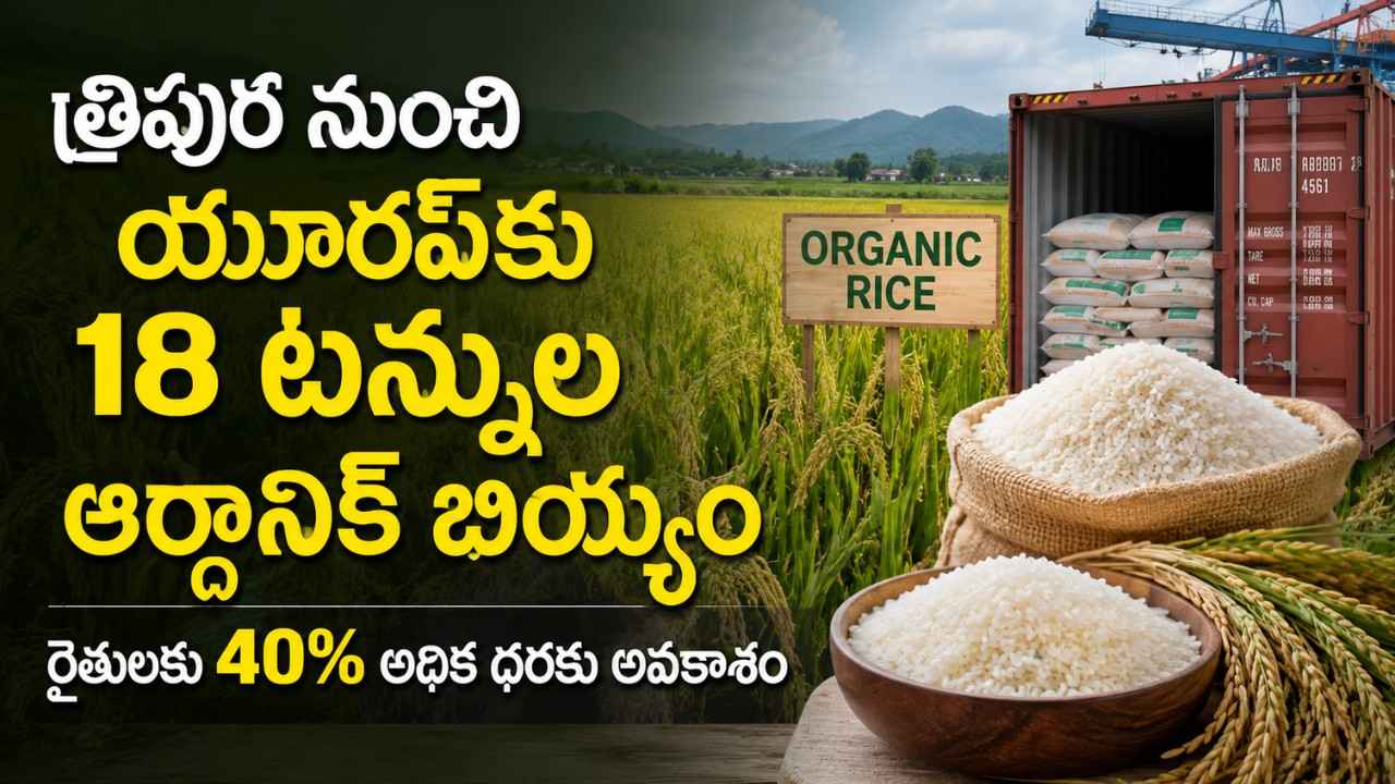 Tripura Organic